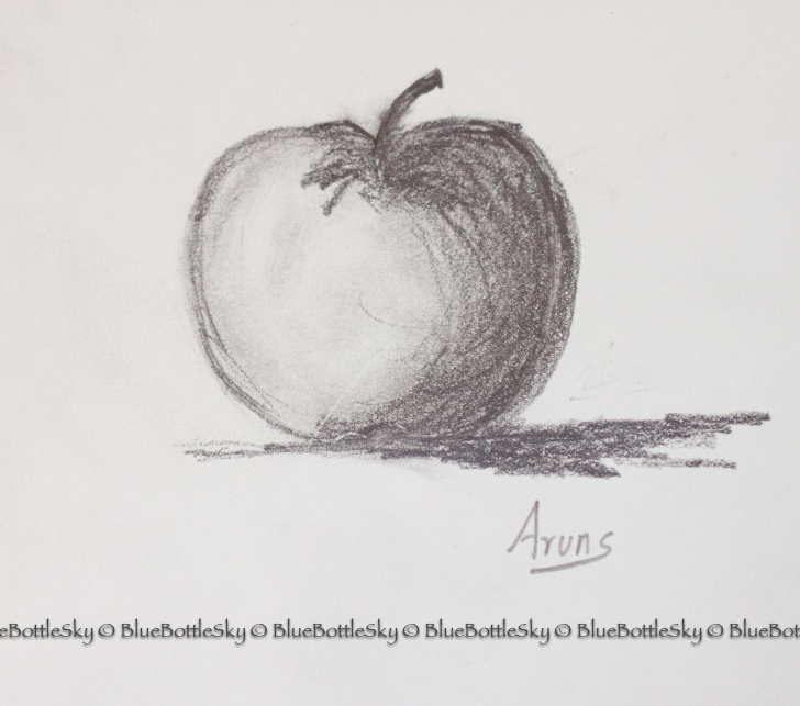 Marvelous Pencil Sketch Of Apple Easy Apple Pencil Sketch At Paintingvalley | Explore Collection Of Picture