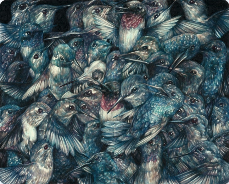 Most Inspiring Amazing Colored Pencil Drawings Lessons Detailed Colored Pencil Drawings Of Flora And Fauna By Marco Mazzoni Pictures