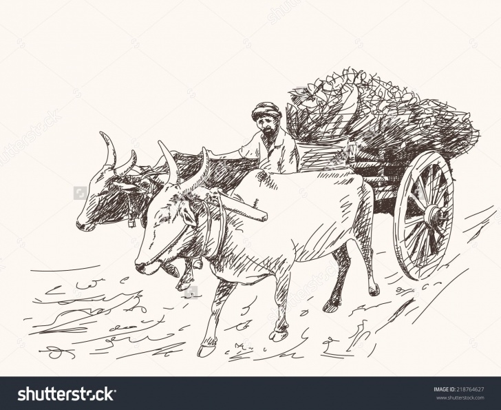 Most Inspiring Bullock Cart Pencil Drawing Techniques for Beginners Asian Farmer Riding On Ox Cart Stock Vector 218764627 - Shutterstock Photos