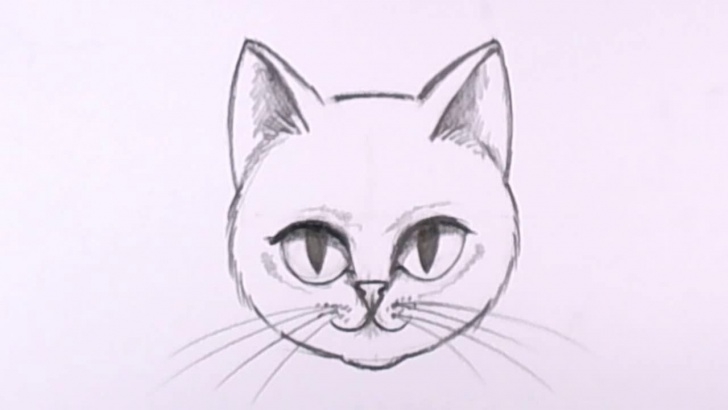 Most Inspiring Cat Pencil Drawing Tutorials How To Draw A Cat Face In Pencil - Drawing Lesson - Mat Image