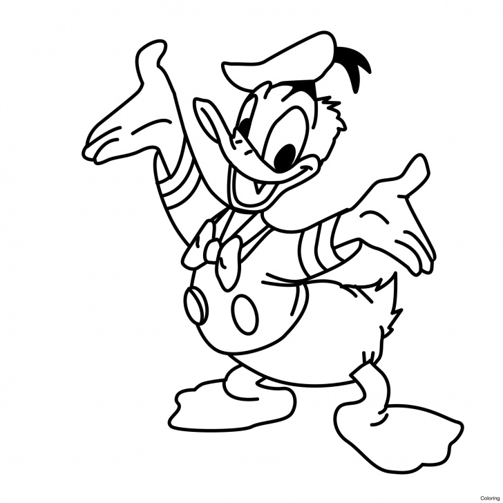 Most Inspiring Duck Pencil Drawing Techniques for Beginners Donald Duck Pencil Sketch And Donald Duck Drawing, Pencil, Sketch Pictures