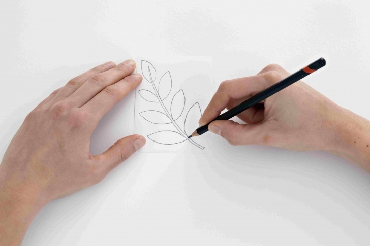 Most Inspiring Paper And Pencil Drawing Techniques for Beginners Best Graphite Pencil Paper And Drawing Boards Images