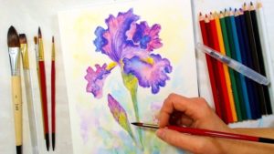 Most Inspiring Pencil And Watercolor Art Lessons Iris Watercolor Pencil Drawing And Painting Tutorial // December Smart Art Box Picture