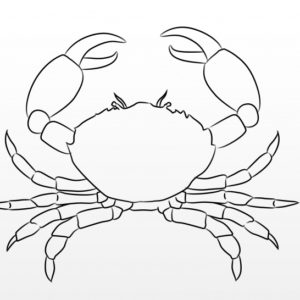 Crab Pencil Drawing