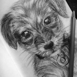 Dog Pencil Art