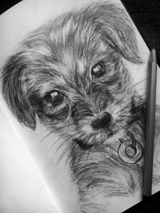 Nice Dog Pencil Art Simple Puppy #drawing #pencil #cute #dog Pencil Drawing Of A Puppy | Art Image