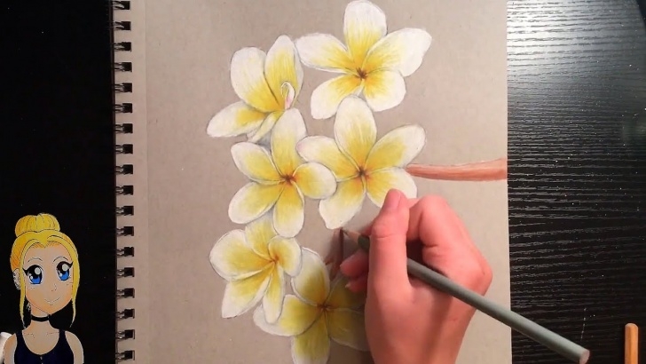 Nice Flower Colour Pencil Drawing Lessons How To Draw Realistic Flowers! With Colored Pencils Photo