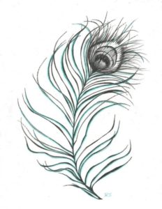 Nice Peacock Feather Pencil Drawing Techniques for Beginners Images For > Pencil Drawing Pictures Of Peacock | Ink | Peacock Photo