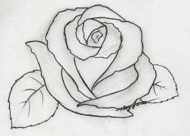 Outstanding 3D Rose Pensil Sketch Step By Step Tutorial Pencil Sketch Of Rose Flower At Paintingvalley | Explore Pictures
