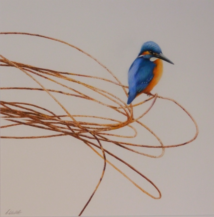 Outstanding Alan Woollett Art Easy Kingfisher By Alan Woollett #alanwoollett #contemporaryart Pictures