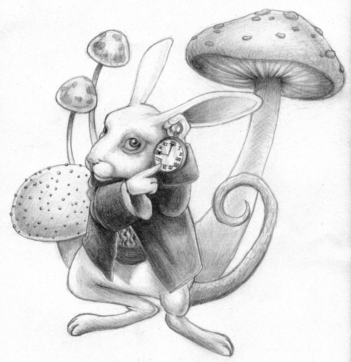 Outstanding Alice In Wonderland Pencil Drawings Easy I Do Believe This Is A Pencil Sketch From Tim Burtons Remake Of Image