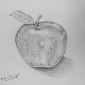 Apple Still Life Drawing