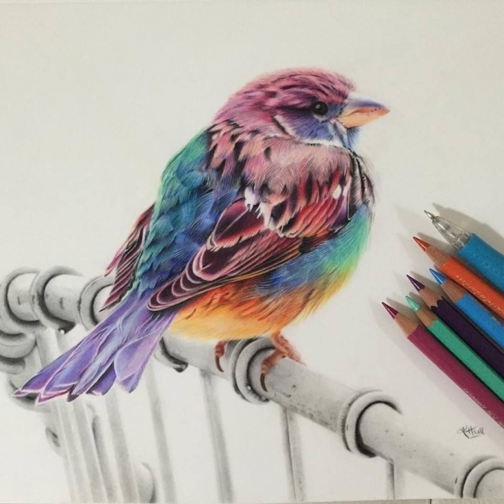Outstanding Beautiful Colored Pencil Drawings for Beginners 50 Beautiful Color Pencil Drawings From Top Artists Around The World Pics