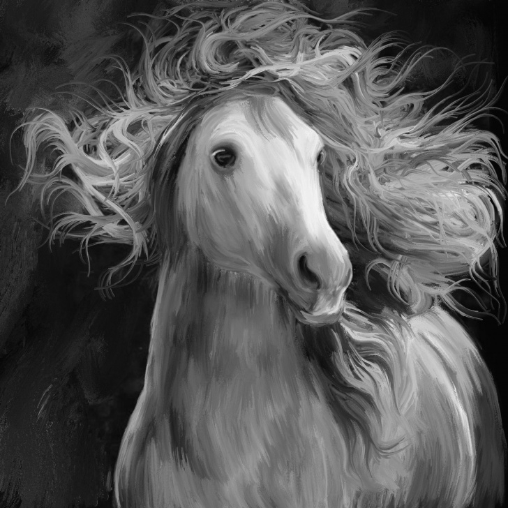 Outstanding Black And White Pencil Drawings Tutorials Black & White Pencil Drawing Of Your Photos For $5 - Seoclerks Photos