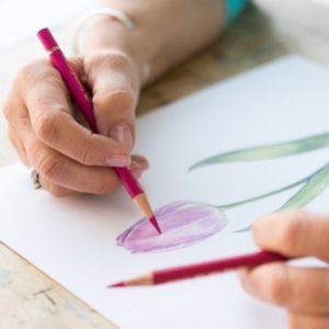 Color Pencil Drawing For Beginners