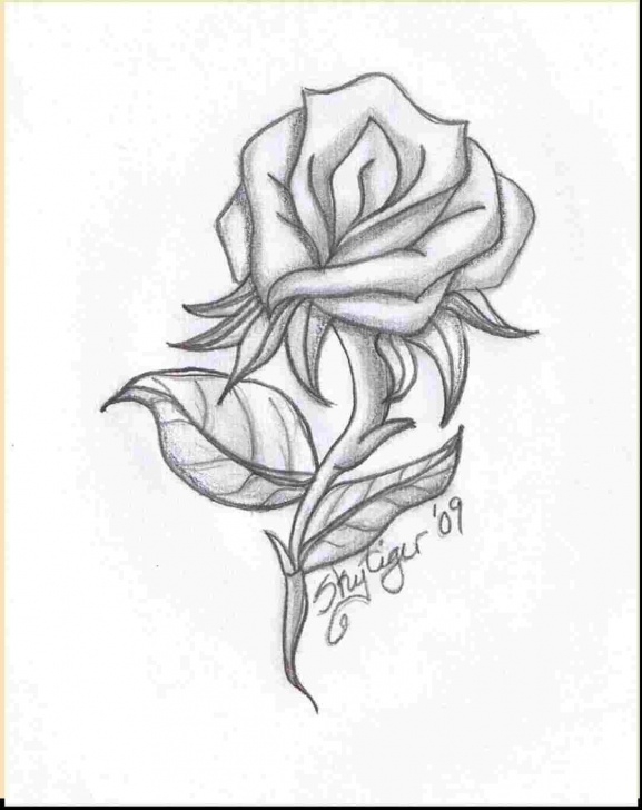 Outstanding Easy Sketches To Draw With Pencil for Beginners Pencil Basic Easy Sketches Photo