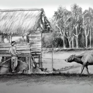 Farmer Pencil Drawing