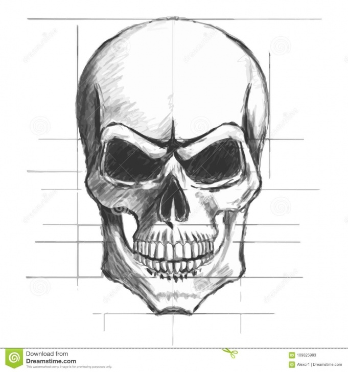 Outstanding Horror Pencil Sketches Step by Step Skull Pencil Sketch Vector Stock Vector. Illustration Of Horror Photos