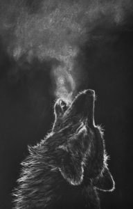 Outstanding White Charcoal Drawings Ideas White Charcoal Drawing Black Paper Wolf - Google Search | Wolves Pictures