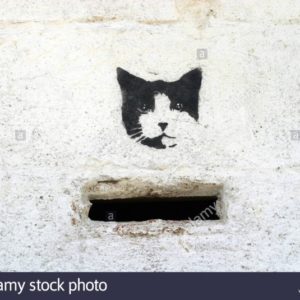 Cat Graffiti Stencil