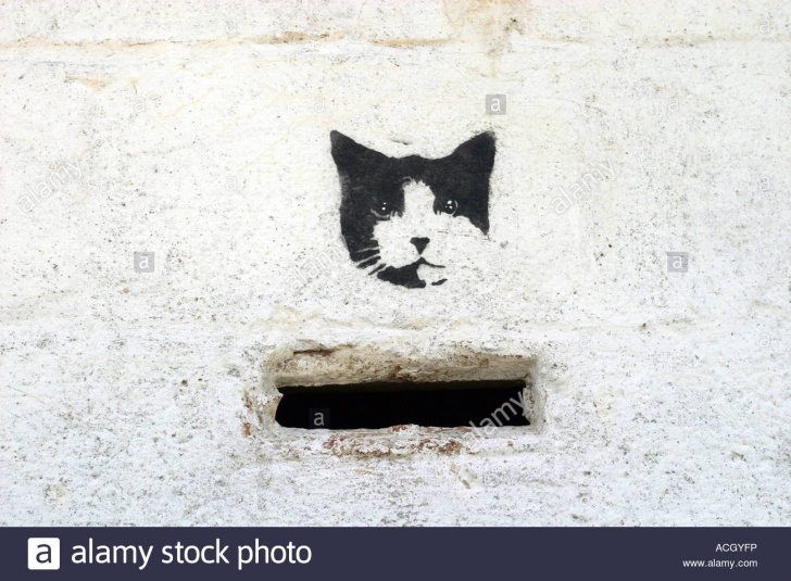 Popular Cat Graffiti Stencil Ideas Stencil Graffiti Of Cat By Letterbox To Nowhere Lighthouse Hill Image