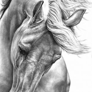 Hard Pencil Drawings