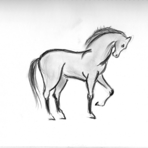Pencil Drawings Of Animals Easy