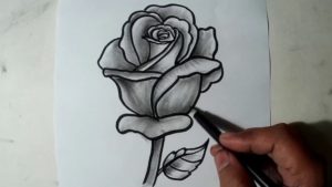 Popular Rose Pencil Drawing Step by Step How To Draw A Rose || Pencil Drawing, Shading For Beginners Photos