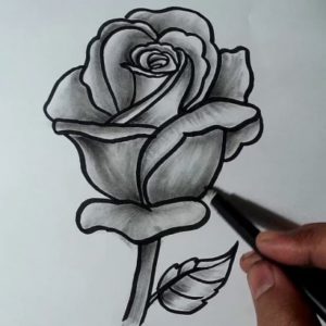 Rose Pencil Drawing