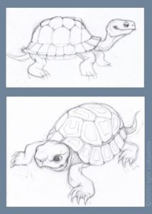 Popular Tortoise Pencil Sketch Techniques Tortoise-Sketch-Drawing | Art - Sketches - Freehand | Tortoise Pictures