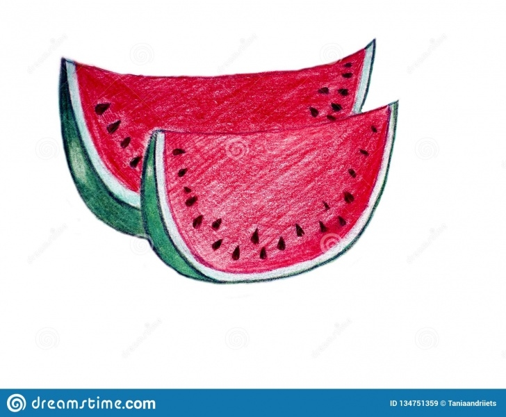 Popular Watermelon Pencil Drawing for Beginners Pencil Drawing Of Watermelon Stock Illustration - Illustration Of Photos