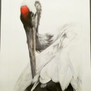 Alan Woollett Art