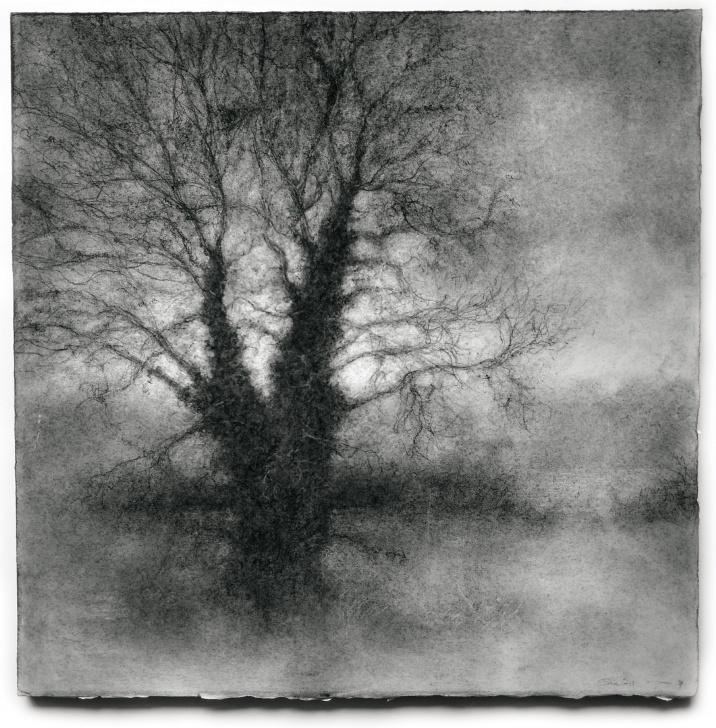 Remarkable Black And White Charcoal Drawings for Beginners Winter Tree 4 (Black & White Realistic Landscape Charcoal Drawing On Paper) Image
