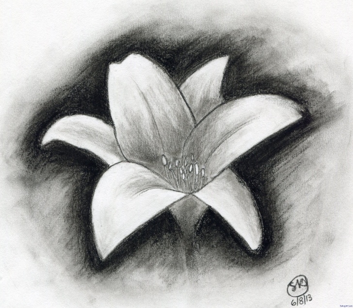 Remarkable Charcoal Pencil Drawing Easy Techniques for Beginners Easy Charcoal Drawings Flowers | Shading In 2019 | Easy Charcoal Photo
