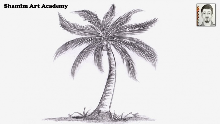 Remarkable Coconut Tree Pencil Drawing Ideas How To Draw Coconut Tree Pencil Drawing (Very Easy) Images