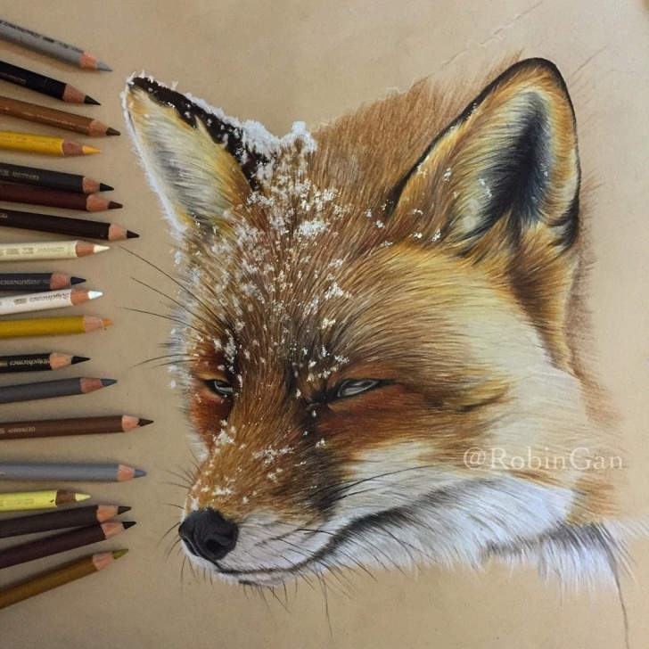 Remarkable Colored Pencil Animals Easy Design Stack: A Blog About Art, Design And Architecture: Realistic Photos