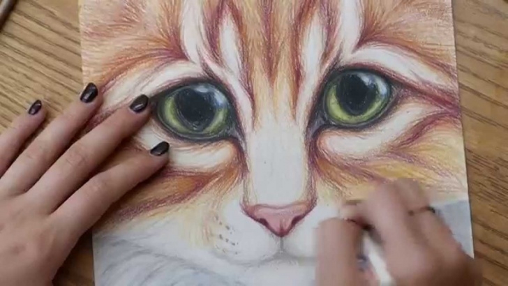 Remarkable Colored Pencil Art Projects Tutorials Kitty Cat With Big Eyes Colored Pencil Drawing - Full Version Photos