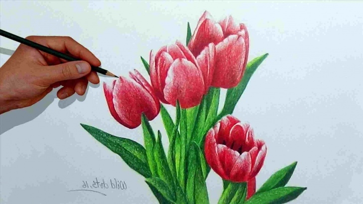 Remarkable Easy Colored Pencil Drawings For Beginners Simple Beginner Easy Colored Pencil Drawings Picture