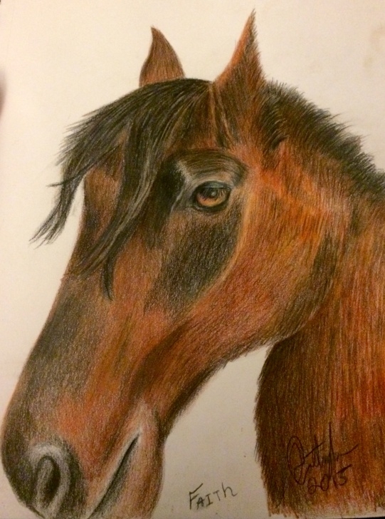 Remarkable Horse Drawing Colour Free A Color Pencil Drawing Of Faith - Jacob Cottinghamjacob Cottingham Image