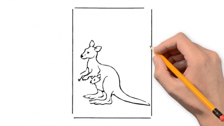 Remarkable Kangaroo Pencil Drawing for Beginners Kangaroo Animals Pencil To Draw Step By Step Photos