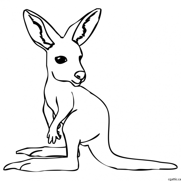 Remarkable Kangaroo Pencil Drawing Simple Kangaroo Drawing, Pencil, Sketch, Colorful, Realistic Art Images Photo
