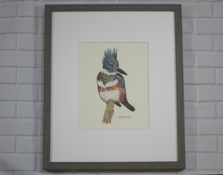 Remarkable Kingfisher Pencil Drawing Free Kingfisher - Original - Colored Pencil Drawing. Bird Art - Belted Kingfisher - Signed Original Drawing, Not A Print! Picture