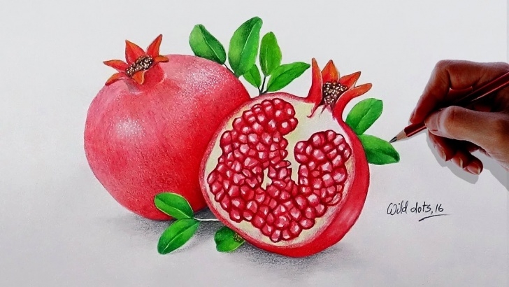 Remarkable Pomegranate Pencil Drawing Tutorial How To Draw A Pomegranate - Easy And Simple Steps | Pictures