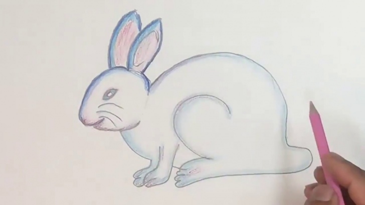Remarkable Rabbit Sketch In Pencil Techniques for Beginners How To Draw Rabbit Step By Step (Color Pencil) Picture