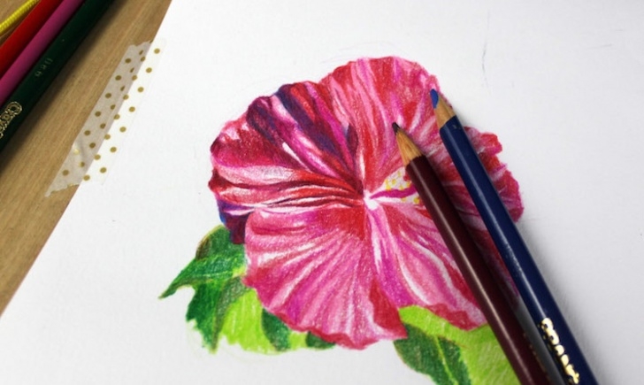 Remarkable Shading Flowers With Colored Pencil Free Drawing Flowers In Colored Pencil: A Simple Tutorial Picture