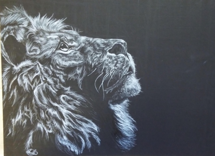 Remarkable White Colored Pencil On Black Paper Simple Lion Face, White Colored Pencil On Black Paper, 16X24 : Art Images