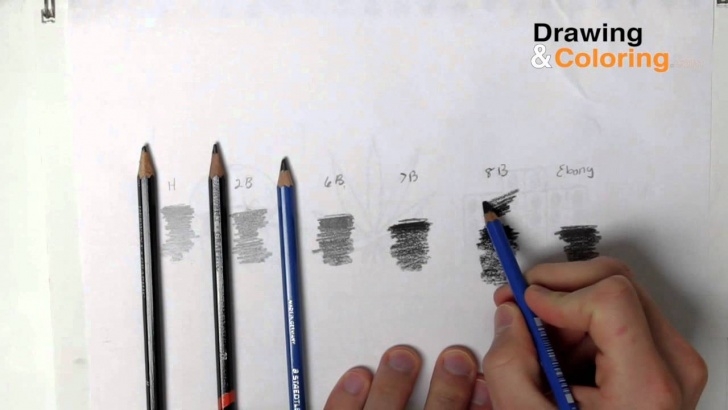 Stunning Best Grade Pencil For Sketching Tutorials Pencil Hardness : The Only 4 Pencils You Need Photo