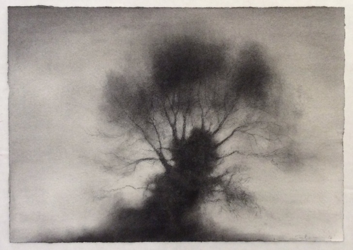 Stunning Black And White Charcoal Drawings Lessons Kernel (Realist Black & White Charcoal Drawing Of Large, Single Standing Tree) Image