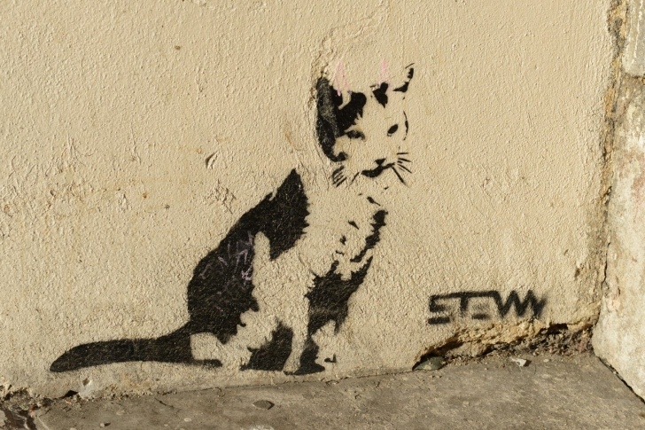 Stunning Cat Graffiti Stencil for Beginners Cat Art | Small Animal Talk: Animals In Bristol Street Art | Cool Photos