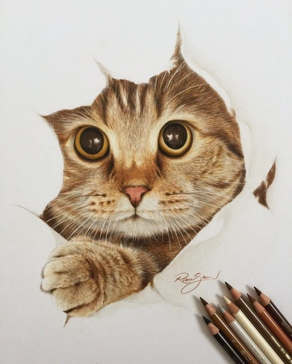 Stunning Colored Pencil Animals Step by Step Realistic Color Pencil Animal Drawings | Art | Pencil Drawings Of Pics